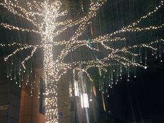 -The Cheebat 锌吧·Bistro(体育西店)