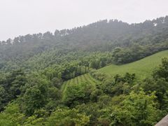 -敬亭山风景名胜区