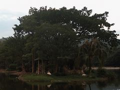 -清迈夜间动物园