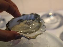 -Oyster Talks 四度蚝法餐厅