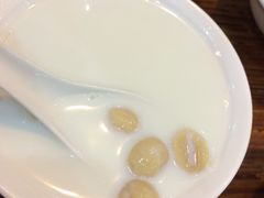 -沙湾姜埋奶(兴新包店)