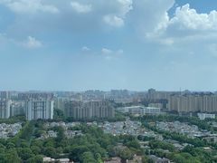 -上海浦东康桥绿地假日酒店