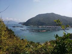 -南丫岛