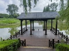 -黄海国家森林公园