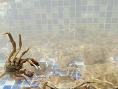 -喜庭海鲜自助(北辰三角洲北辰荟店)