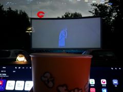 -枫花园汽车电影院(朝阳公园店)