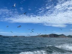 -海驴岛(荣成市)