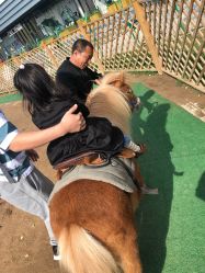 -萌宠亲子动物乐园(槐房万达店)