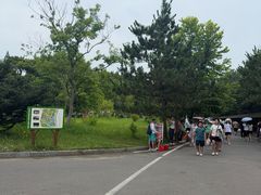 -日照海滨国家森林公园