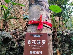 -七仙岭温泉国家森林公园