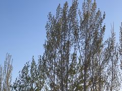 -西部长青自然儿童乐园