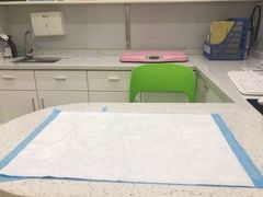 -佳雯宠物医院(金华南路分院)