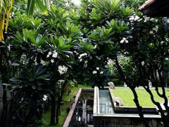 android_upload_pic-清迈菩提塞雷纳