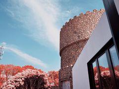 -J Create城市露营咖啡·简餐·宠物(上海动物园店)