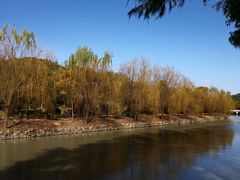 -上海月湖雕塑公园