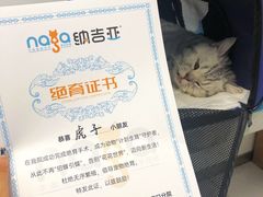-纳吉亚猫专科动物诊疗中心(蒋宅口分院)