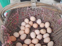 -马陆小张葡萄园农家乐