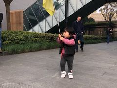 -运河游船(武林门码头)