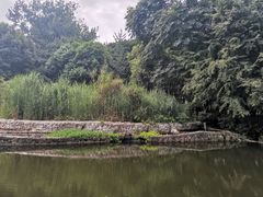 -成都市活水公园
