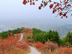 -北京西山国家森林公园