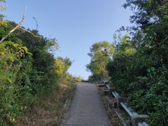 -南丫岛
