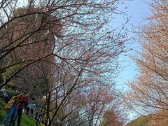-广州市白云山风景名胜区