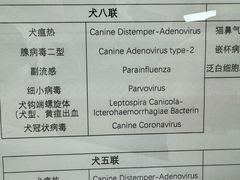 -申普宠物医院(总院)