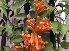 -华南国家植物园-售票处