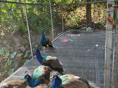 -福建鲤鱼洲酒店