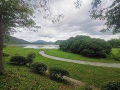 -风云岭森林公园