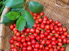 -樱桃山旅游景区