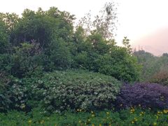 -贵阳市花溪国家城市湿地公园