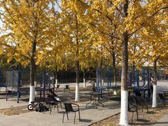 -永定河休闲森林公园