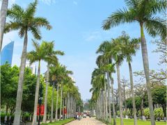 -厦门大学(思明校区)