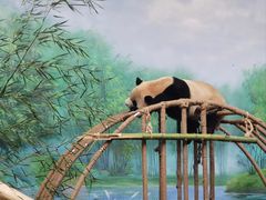 -杭州动物园