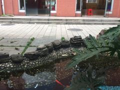 -广州市越秀区育才实验学校
