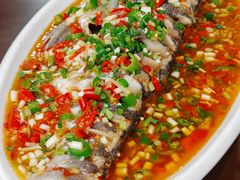 飞虹鱼-飞虹鱼馆(春华路店)