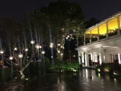 -河内西湖莲花自助餐厅
