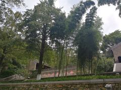 -镇江市南山风景名胜区竹林景区