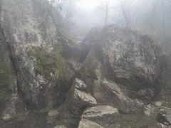 -天目山大树王景区