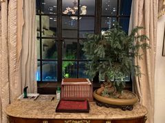 -大可堂普洱茶馆(襄阳南路馆)