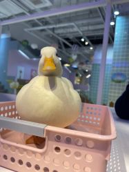 -Moni星球萌宠·小马宝莉·灵蛇·高端高阶全萌宠互动体验俱乐部(红豆国际广场店)