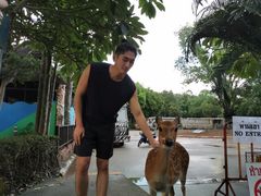 -清迈夜间动物园