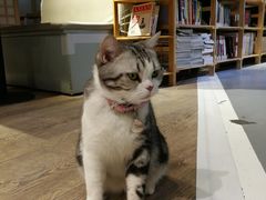 -小时光咖啡馆(开森度假森林店)