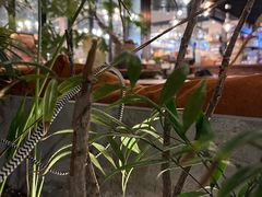 -大书房咖啡(中传国交店)