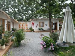 -DORA kids 朵拉儿童摄影花园店