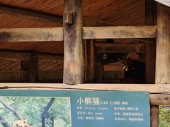 -柳州市动物园