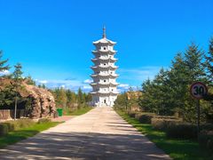 -嘉荫恐龙国家地质公园