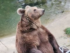 -石家庄市动物园