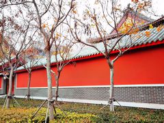 -天津妈祖文化园